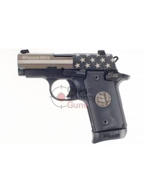 Sig Sauer P238 Stand - .380 ACP