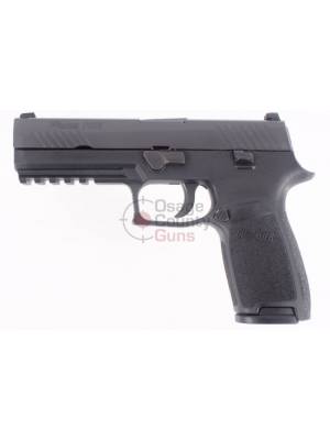 Sig Sauer P320 Full Size .357 SIG Night Sights