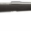 Savage 16/116 FCSS Bolt 270 Win 22" Barrel, Accustock Black Stock Stainless Ste, 4rd