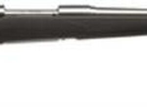 Savage 16/116 FCSS Bolt 270 Win 22" Barrel, Accustock Black Stock Stainless Ste, 4rd