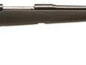 Savage 11/111 FCNS Bolt 243 Win 22" Barrel, Accustock Black Stock Blued, 4rd