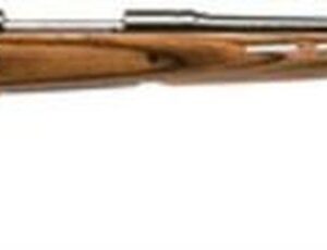 Savage Model 11 Hunter Series .22-250 22" Barrel Satin Blue Finish Accutrigger Thumbhole Laminate Stock 4 Round