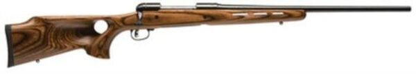 Savage Model 11 Hunter Series .22-250 22" Barrel Satin Blue Finish Accutrigger Thumbhole Laminate Stock 4 Round