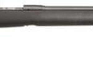 Savage 10FCP HS 308 24", 5-R Threaded Barrel, H-S Precision Stock