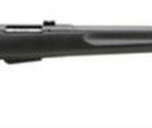 Savage Model 25 Walking Varminter .222 Remington 22 Inch Barrel Satin Black Synthetic Stock Accutrigger 4 Round
