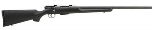 Savage Model 25 Walking Varminter .222 Remington 22 Inch Barrel Satin Black Synthetic Stock Accutrigger 4 Round