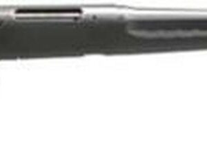 Savage Arms Axis Rifle, .30-06, 22", Black Synthetic Stock/Stainless Steel