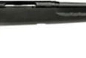 Savage AXIS Rifle, 243, Black, 22"