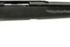 Savage AXIS Rifle, 30-06, Black, 22"