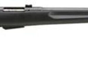 Savage 25 Walking Varminter, 17 Hornet, 22" Barrel, Black Barrel and Action, Black Polymer Stock, 4Rd,