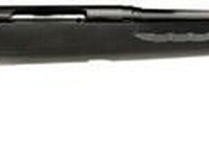 Savage Axis SR Bolt 223 Remington 20" Threaded Barrel, Black Synthetic Stock Black