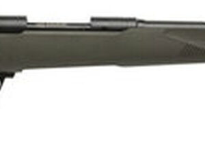 Savage 10/110 Hog Hunter 223 Remington/5.56 NATO, 20" Barrel,, , AccuFit OD Green Stock, 4 rd