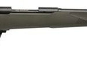 Savage 10/110 Hog Hunter 338 Federal, 20" Barrel,, , AccuFit OD Green Stock, 4 rd