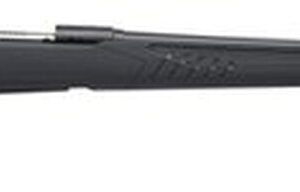 Savage 10/110 Long Range Hunter 260 Remington, 26" Barrel,, , AccuFit Gray Stock, 10 rd