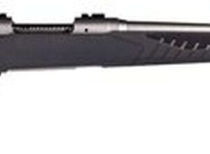 Savage 10/110 Storm 22-250 Remington, 22" Barrel, Stainless Steel,, , AccuFit Gray Stock, 4 rd