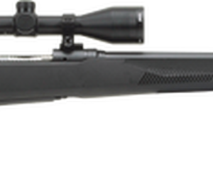 Savage 110 Engage Hunter, 450 BM, 22" Barrel, Black Color, Polymer Stock, 4Rd, Bushnell Engage 3-9x40 Scope,
