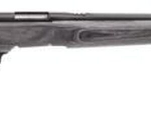 Savage B. Mag 17 WSM Blue/Laminate, Heavy Barrel, Fluted