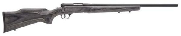 Savage B. Mag 17 WSM Blue/Laminate, Heavy Barrel, Fluted