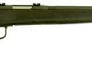 Savage B.Mag 17 WSM Bl/syn Hvbbl 22