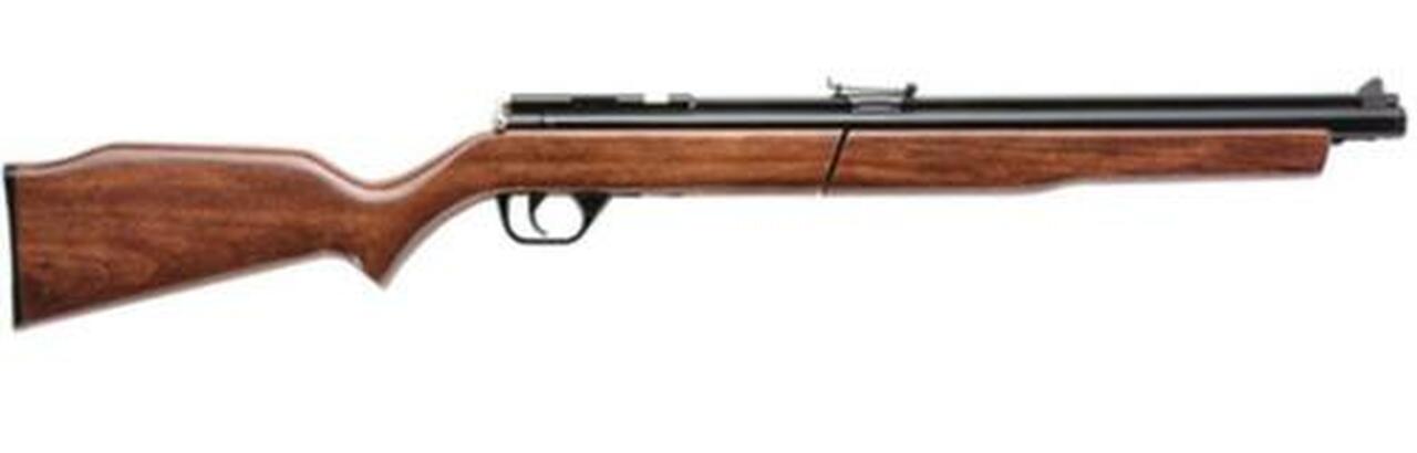 Benjamin Pump Pellet Rifle .22 Pellet 19" Barrel Harwood Stock Black