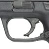 Smith & Wesson M&P45, Black, 10 Rnd Mags