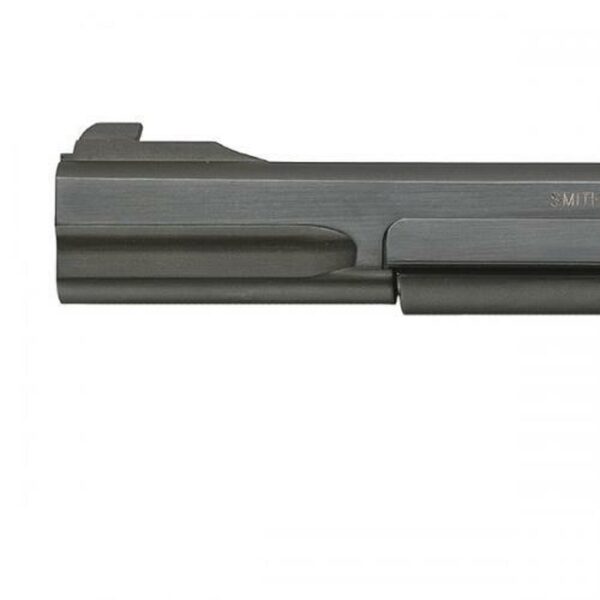 Smith & Wesson 41 22LR, 7", Adjustable Sight Wooden Target, Thumbrest Grip Blue, 10rd