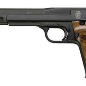 Smith & Wesson 41 22LR, 7", Adjustable Sight Wooden Target, Thumbrest Grip Blue, 10rd