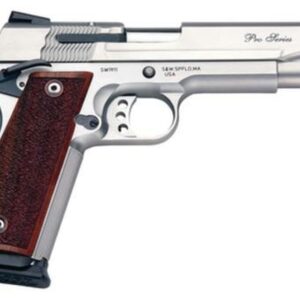 Smith & Wesson 1911 9mm, Matte Silver, 5" Barrel, 10rd