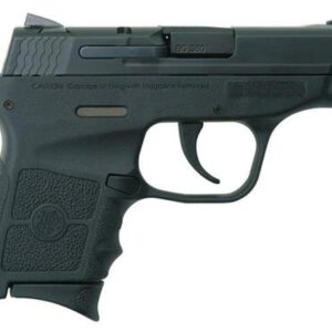 Smith & Wesson Bodyguard 380acp, No Safety, 6 rd