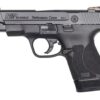 Smith & Wesson M&P Shield M2.0 Performance Center 40 Smith & Wesson, 4", 6rd/7rd, Black