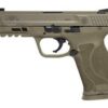 Smith & Wesson M&P 45 ACP, 4.6", Flat Dark Earth, Truglo Night Sights, 10rd