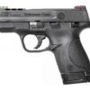 Smith & Wesson M&P9 Shield Performance Center Every Day Carry Kit 9mm 3.1" Ported Barrel 8rd Mag