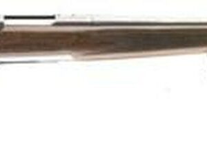 Browning X-Bolt White Gold Bolt 22-250 Rem 22" Barrel, Walnut Stock SS, 4rd