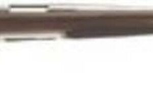 Browning X-Bolt Stainless Hunter Bolt 30-06 Spgfld 22" Barrel, Walnut SS, 4rd