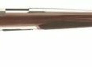 Browning X-Bolt Stainless Hunter 300win
