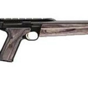 Browning Buckmark Field Target 22LR, Gray Laminate