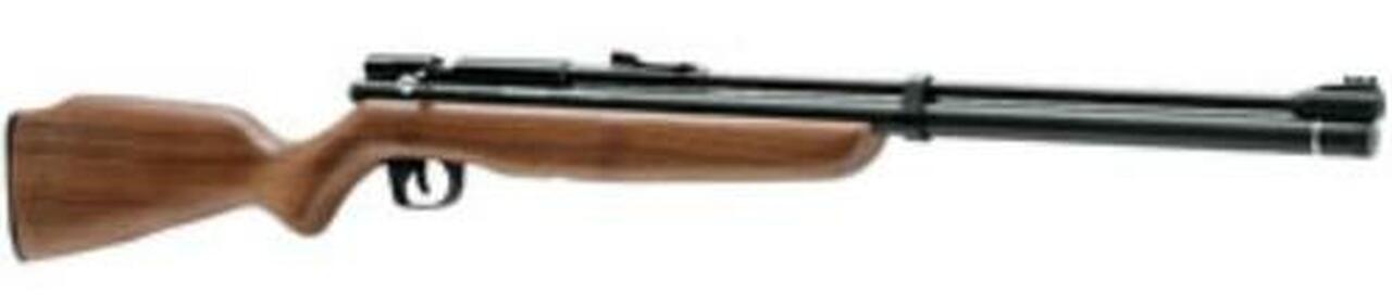 Benjamin Dual Fuel Air Rifle CO2 Bolt .22 Black