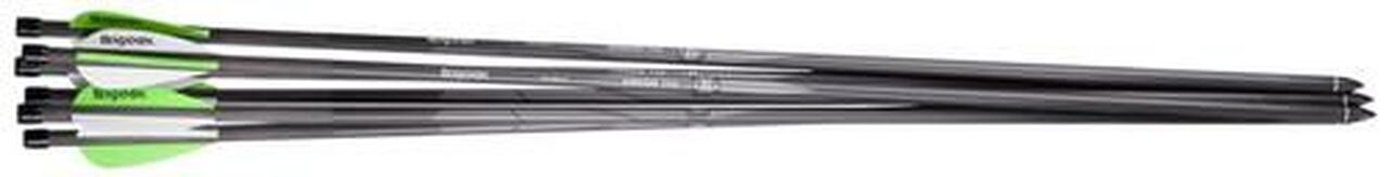 Benjamin Pioneer Arrows Universal Silver