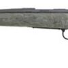 Remington 700 SPS AAC-SD .308 Win, 20" Threaded Barrel, Ghillie Green, 4rd