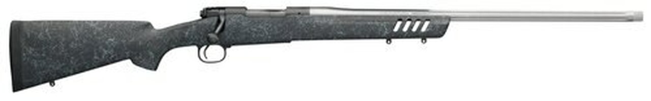 winchester coyote light