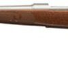 Winchester Model 70 Featherweight .243 Win, 22" Barrel, Grade I Walnut Stock, Stainless Steel, 5rd