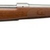 Winchester Model 70 Featherweight .243 Win, 22" Barrel, Grade I Walnut Stock, Stainless Steel, 5rd