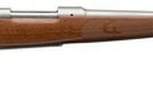 Winchester Model 70 Featherweight .243 Win, 22" Barrel, Grade I Walnut Stock, Stainless Steel, 5rd