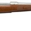 Winchester Model 70 Featherweight .300 Win Mag, 24" Barrel, Grade I Walnut Stock, Stainless Steel, 3rd
