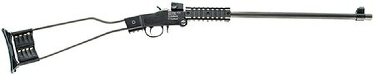 Chiappa Firearms Little Badger Single Shot Break Open 22WMR Black