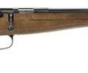 Savage Rascal 22LR Youth Brn Lam Bolt 16.13" Blued 1Capacity