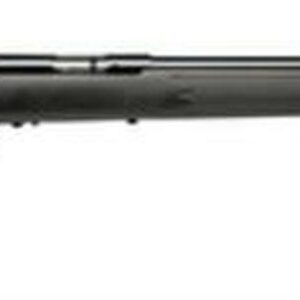 Savage Model Mark I 22LR Long And Short 21 Inch Barrel Blue Finish Synthetic Stock Black Accutrigger