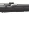 Savage A22 FSS .22 LR, 22" Barrel, Synthetic Black Stock, Stainless Steel, 10rd
