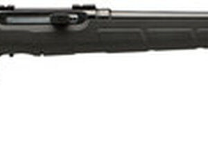 Savage A17 HM2 17 HM2 (Hornady Mach 2), 20" Barrel, Black Color, Black Polymer Stock, Detachable Rotary Magazine