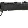 Savage B22 Magnum F Compact .22 WMR, 18" Barrel, Synthetic Black Stock, Blued, 10rd